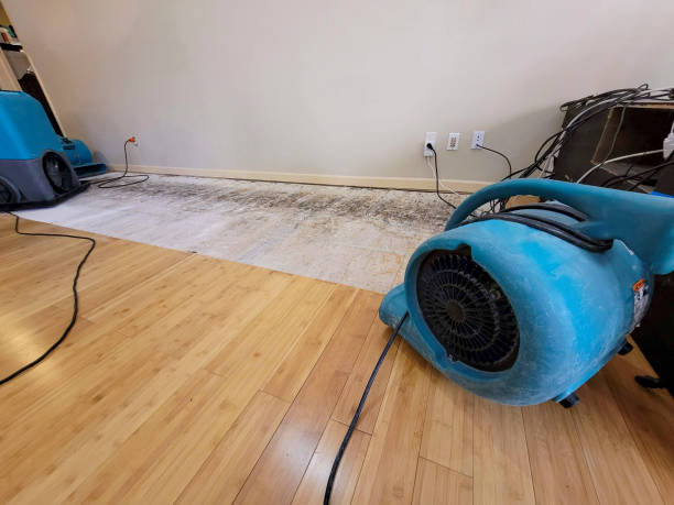 Professional Basement Flood Cleanup technician working in Madison, NE